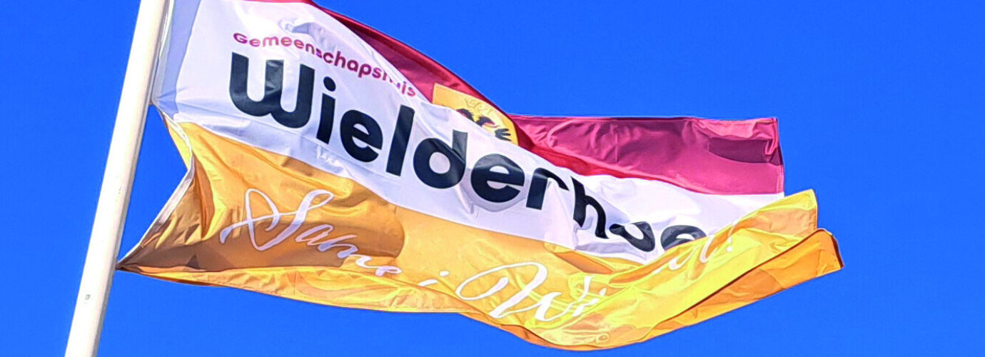 Detail vlag
